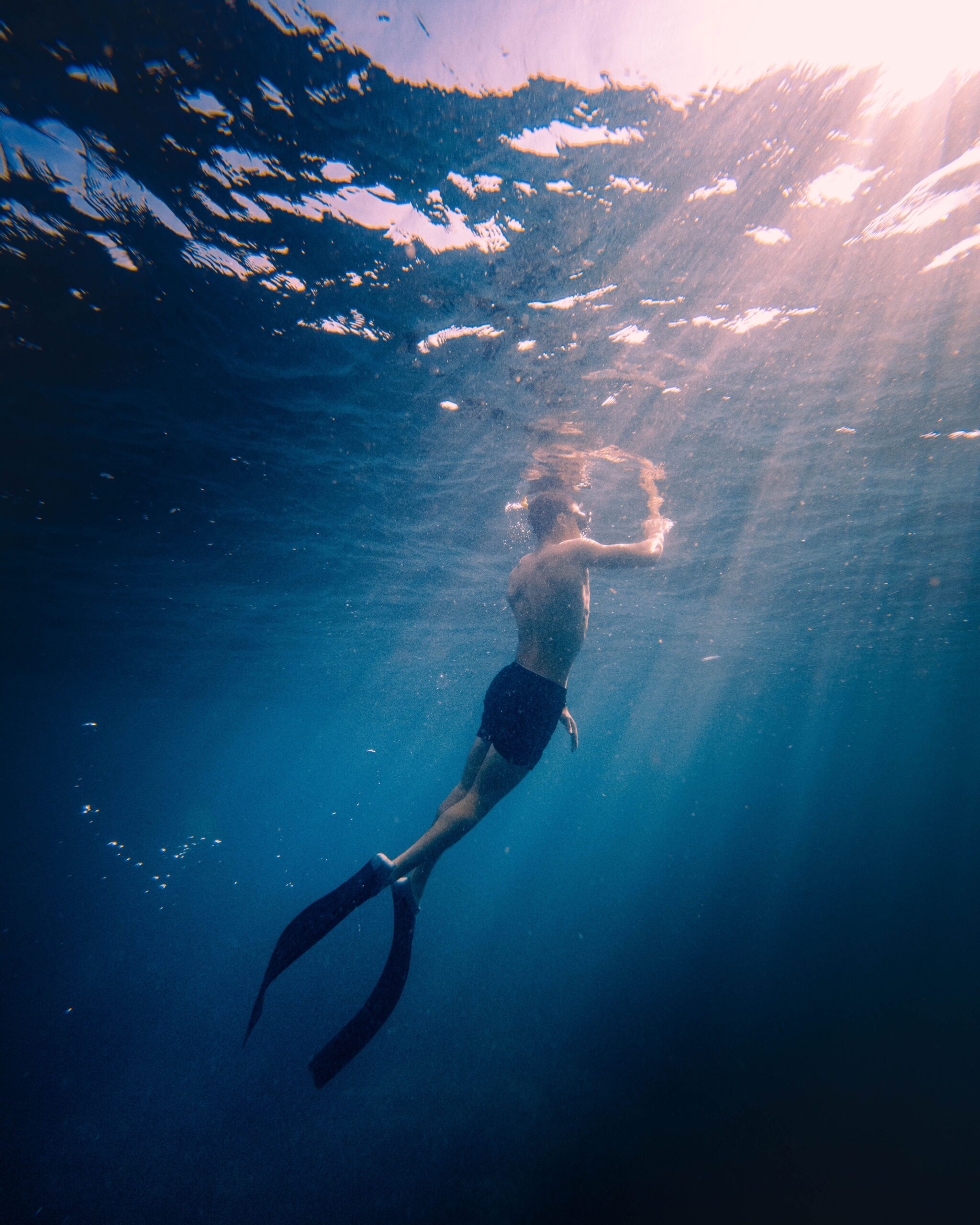 Discover Authentic Local Experiences with Trovey